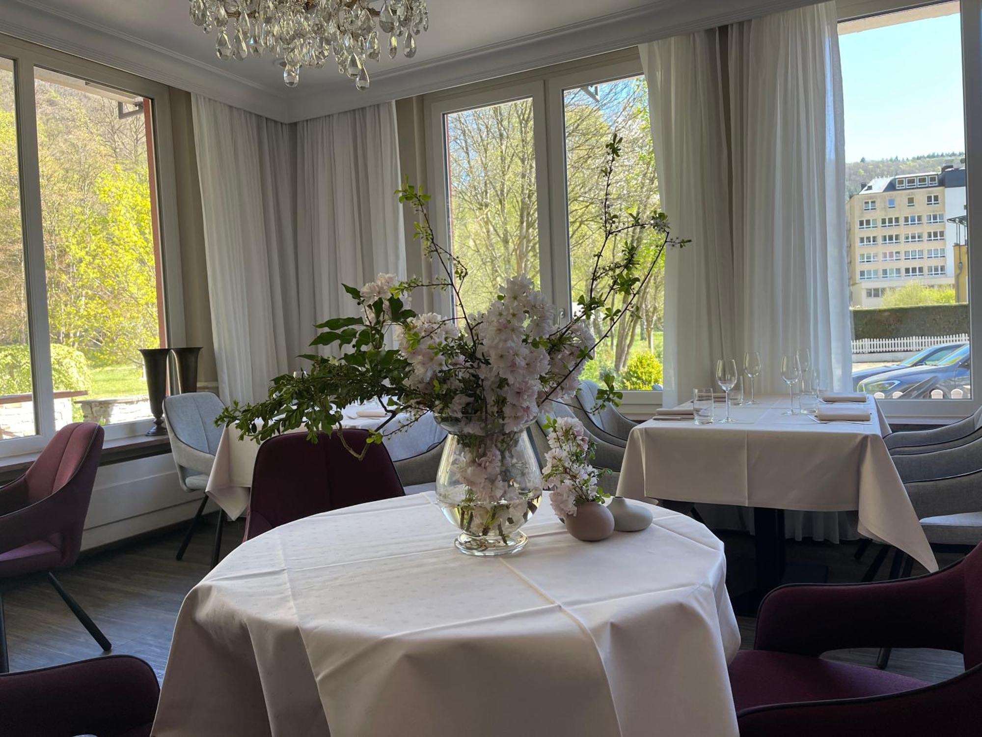 Hotel Alte Muehle Bad Bertrich Zewnętrze zdjęcie